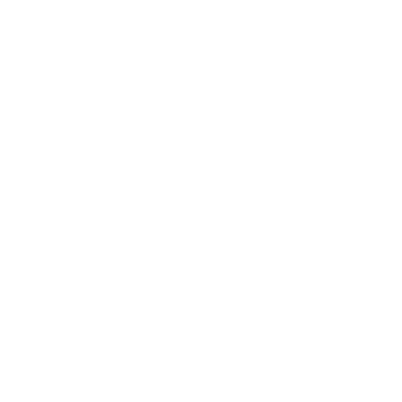 Free Shipping Icon